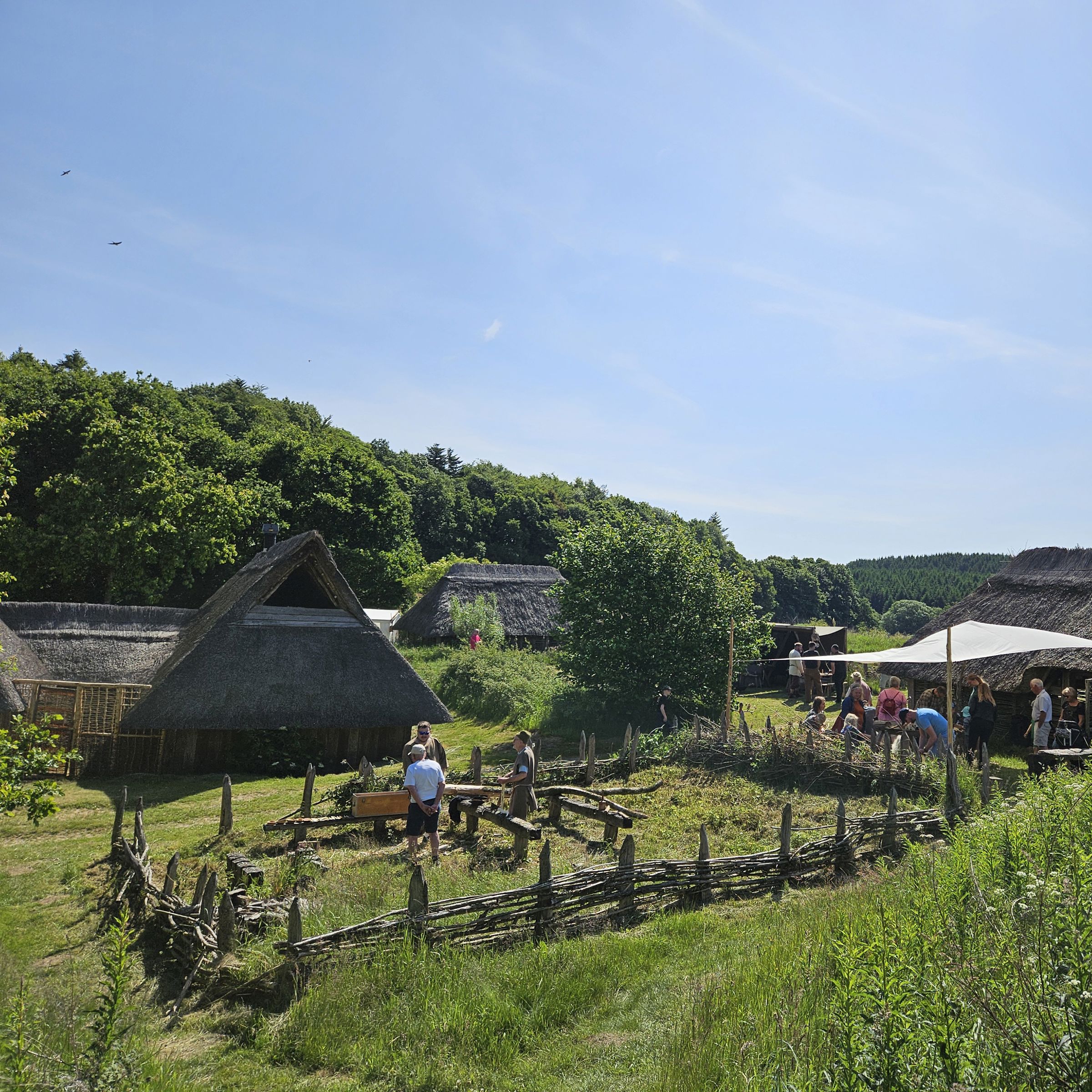 Sommeraktivitet i Vingsted Jernalder
