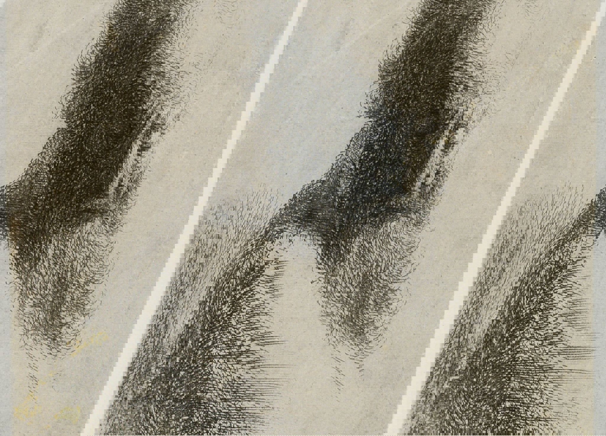 Rembrandt van Rijn. Gammel mand, der ser ned, 1631. Radering. Vejle Kunstmuseum