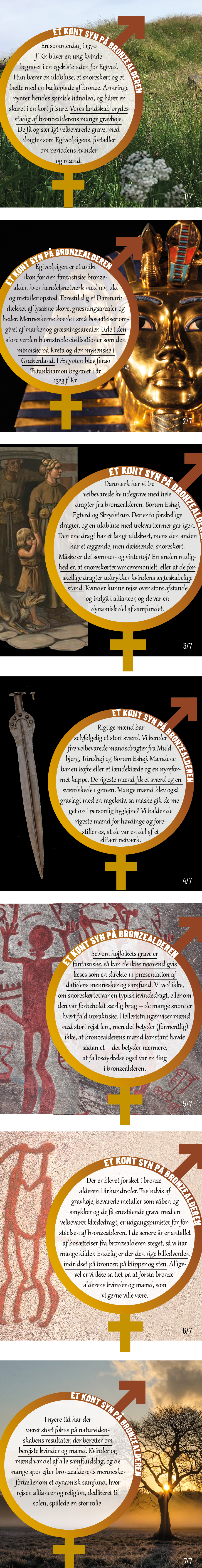 Infographic: Et kønt syn på bronzealderen